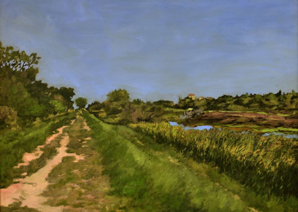 La mia Camargue - Dipinto Olio su Tela